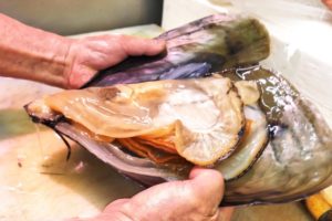 Japanese Street Food - GIANT MUSSELS + Seafood and Street Food of Nishiki Market in Kyoto, Japan