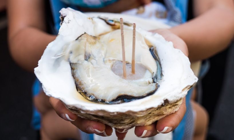 Japanese Street Food - GIANT OYSTER and Seafood Tour of Tsukiji Market in Tokyo, Japan!