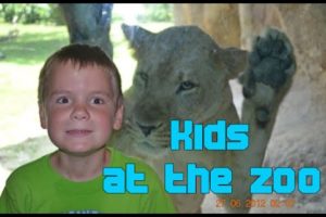 Kids Play With Animals In The Zoo Compilation 2016 - NEW HD