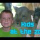 Kids Play With Animals In The Zoo Compilation 2016 - NEW HD