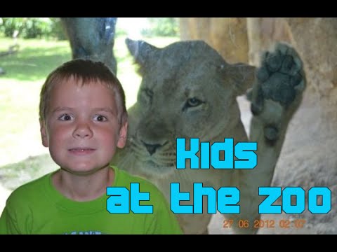 Kids Play With Animals In The Zoo Compilation 2016 - NEW HD