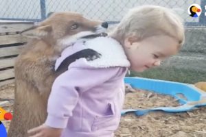 Kids Rescue Animals: Kids Go Above And Beyond To Rescue Animals | The Dodo Best Of