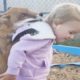 Kids Rescue Animals: Kids Go Above And Beyond To Rescue Animals | The Dodo Best Of