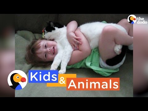 Kids and Animals Playing | The Dodo