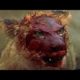 Lion Vs Hyenas Real Fight Till Death - Amazing Predators Fight - Big Battle Animals #21
