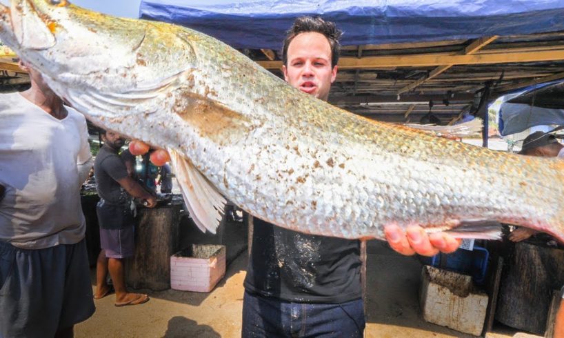 MASSIVE Seafood FEAST in Sri Lanka - INSANE Fish Market and HOME COOKED Sri Lankan FISH CURRY HEAVEN