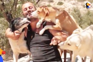 Man Gives Up Everything He Owns To Save Stray Dogs | The Dodo