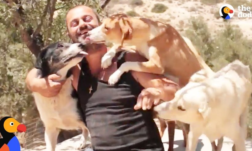 Man Gives Up Everything He Owns To Save Stray Dogs | The Dodo