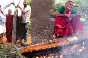 Monster KOLA Fish Fry | Giant Swordfish fry By BharathAmma |Country foods
