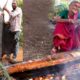 Monster KOLA Fish Fry | Giant Swordfish fry By BharathAmma |Country foods