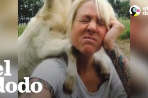 Mujer con alergia muy fuerte a los animales rescata a cientos de ellos