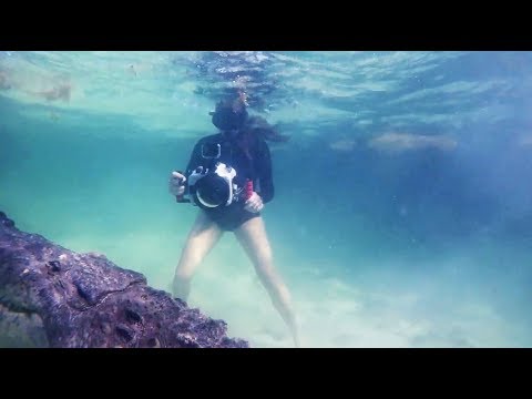 NEAR DEATH CAPTURED by GoPro and camera pt.49 [FailForceOne]