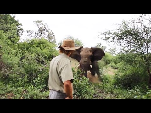 NEAR DEATH CAPTURED by GoPro and camera pt.50 [FailForceOne]