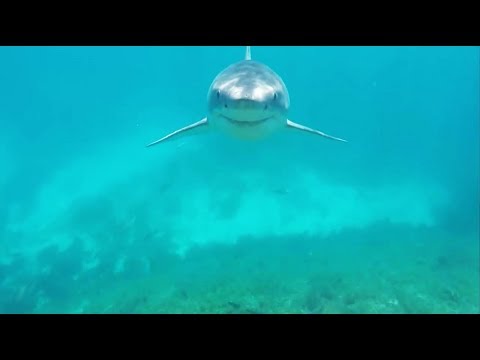 NEAR DEATH CAPTURED by GoPro and camera pt.52 [FailForceOne]