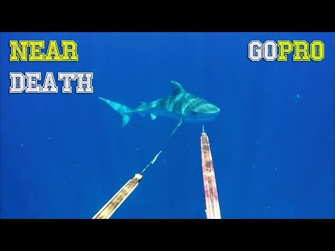 NEAR DEATH CAPTURED by GoPro and camera pt.57 [FailForceOne]