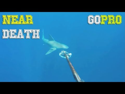 NEAR DEATH CAPTURED by GoPro compilation pt.25 [FailForceOne]