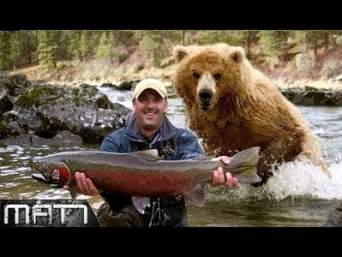 NEAR DEATH EXPERIENCE || 7 MOST TERRIFYING CLOSE CALLS WITH WILDLIFE
