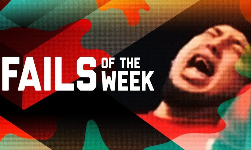 Owl Meets Drone: Fails of the Week (February 2019) | FailArmy