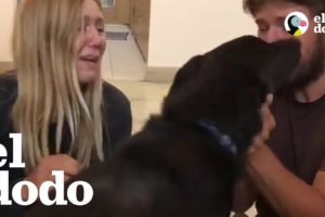 Pareja se reúne con su perro que había sido secuestrado