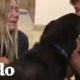 Pareja se reúne con su perro que había sido secuestrado