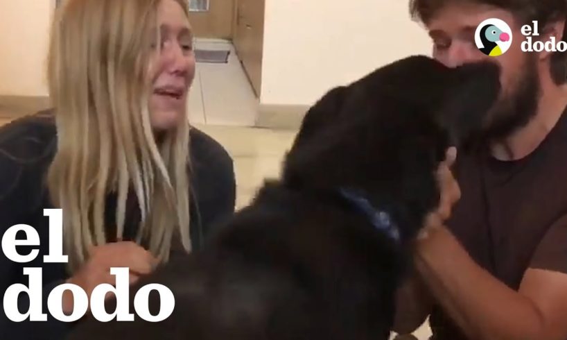 Pareja se reúne con su perro que había sido secuestrado