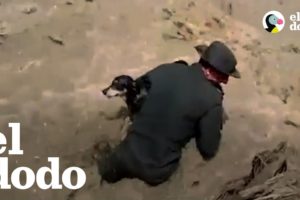 Policías colombianos rescatan a un perrito en el río