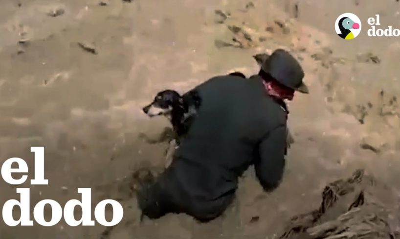 Policías colombianos rescatan a un perrito en el río