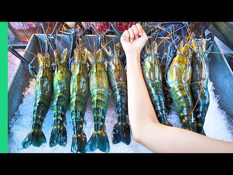 RECORD BREAKING THAI PRAWNS!!! The ULTIMATE Thai Seafood Experience in Bangkok, Thailand!