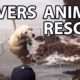 Reverse animal rescue compilation