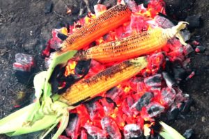 Roast Corn making By Country Foods Boys