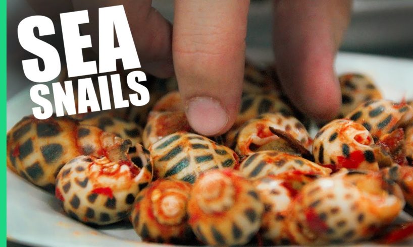 Sea Snails in Saigon, Vietnam! (Oc Dao)