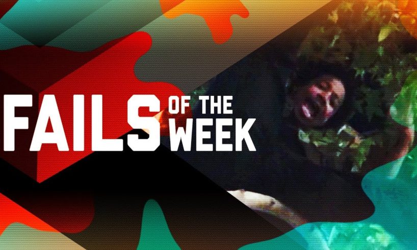 Shattered Expectations: Fails of the Week (January 2019) | FailArmy