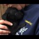 South Carolina Puppy Mill Rescue