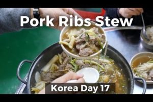 Steamy Pork Ribs Stew Hot Pot (Day 17)