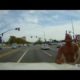 Street FIGHT: Thugs at Intersection CAUGHT on Dashcam! Brutal. WAOO