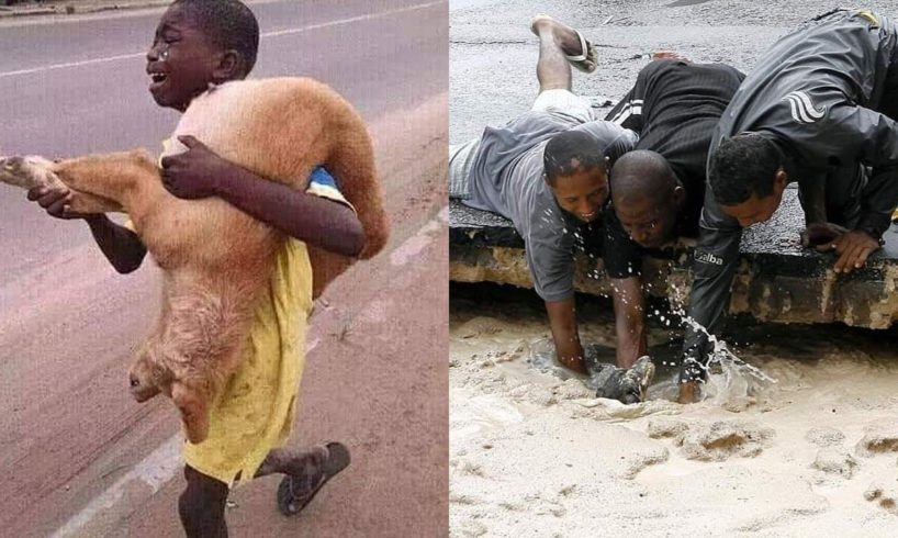 TOP Animal Rescues, Emotional/Inspiring/Funny Will Melt Your Heart Compilation.  REAL LIFE HEROES