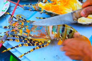 Thai Street Food - Giant RAINBOW LOBSTER + Monster Seafood in Hua Hin, Thailand