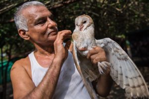 The Indian Doctors Who Created An Animal Ark | WILDEST ANIMAL RESCUES