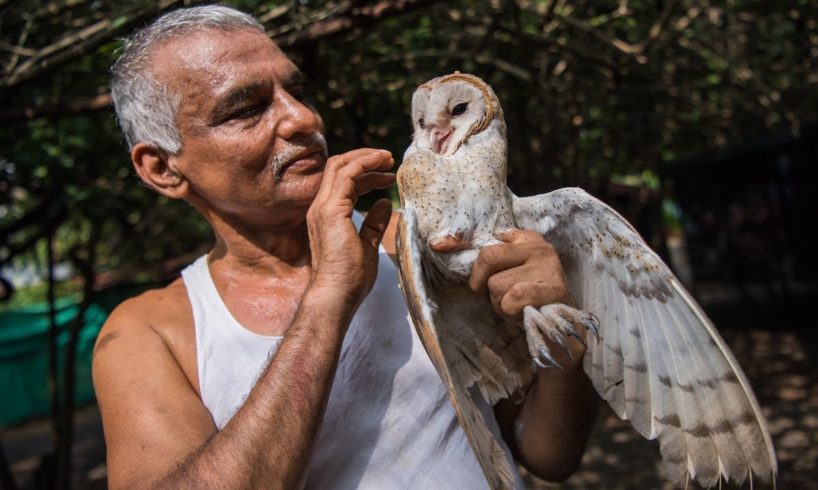The Indian Doctors Who Created An Animal Ark | WILDEST ANIMAL RESCUES