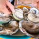 The Oyster King of Thailand - UNCLE TOM’S HUGE OYSTERS and Seafood at Floating Restaurant!