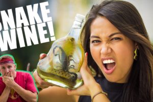 The Snake Wine Challenge in Vietnam!