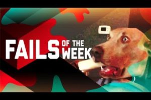 This Dog is Trippin: Fails of the Week (October 2018) | FailArmy