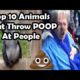 Top 10 animals throwing poop at people (MONKEY THROWS POOP AT GRANDMA) poo throwing monkeys