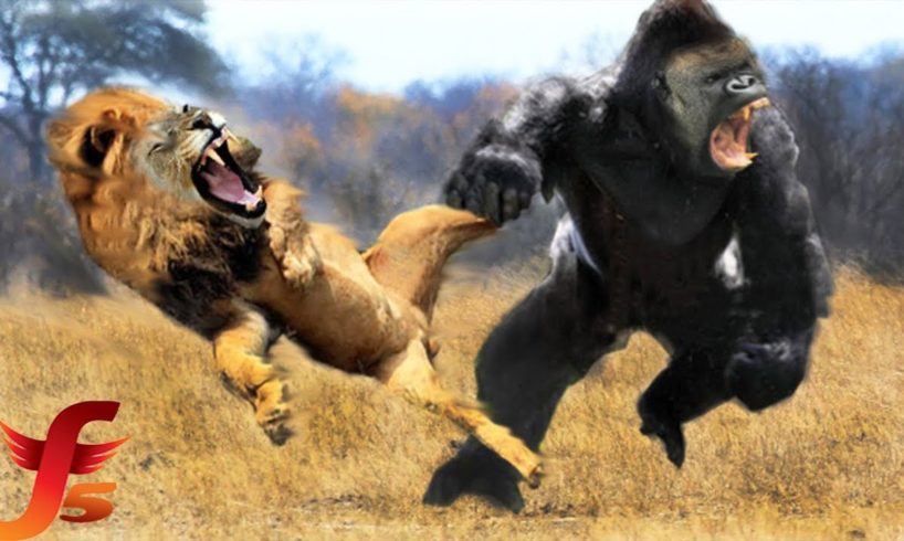 Top 7 Real Extreme Craziest Animals Fights Caught On Tape