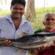 Tuna Fish Recipe |Amazing Tuna Fish Recipe | Bharatamma