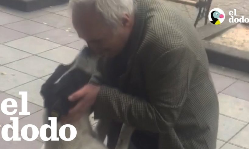Un reencuentro tres años después de que este perro se había perdido