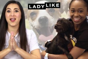 We Fostered Rescue Dogs For Two Weeks • Ladylike