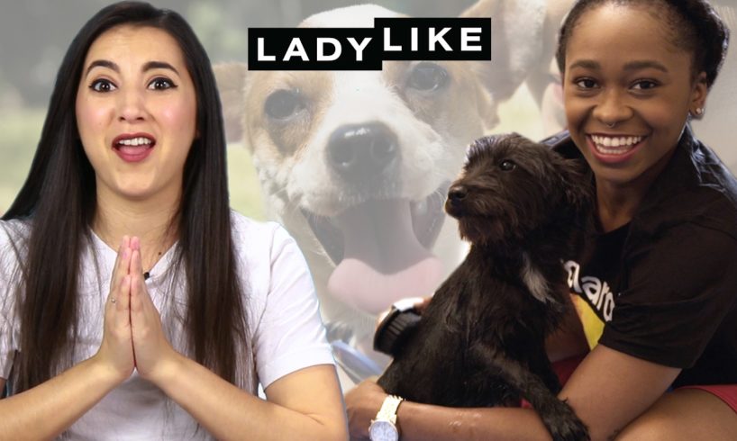 We Fostered Rescue Dogs For Two Weeks • Ladylike