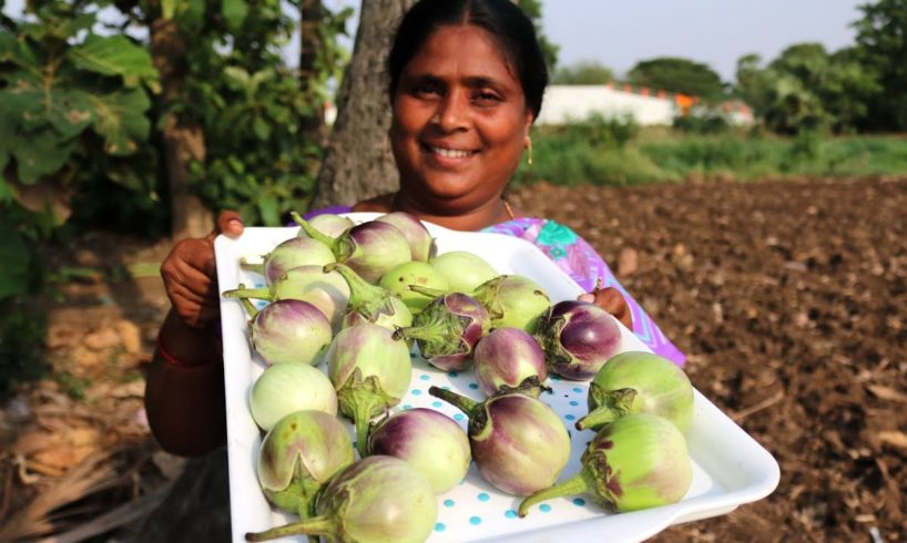 White Brinjal Recipe || Eggplant Recipe || Country foods