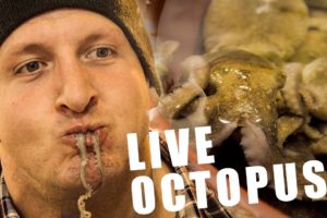 Would you eat a live octopus? - South Korea